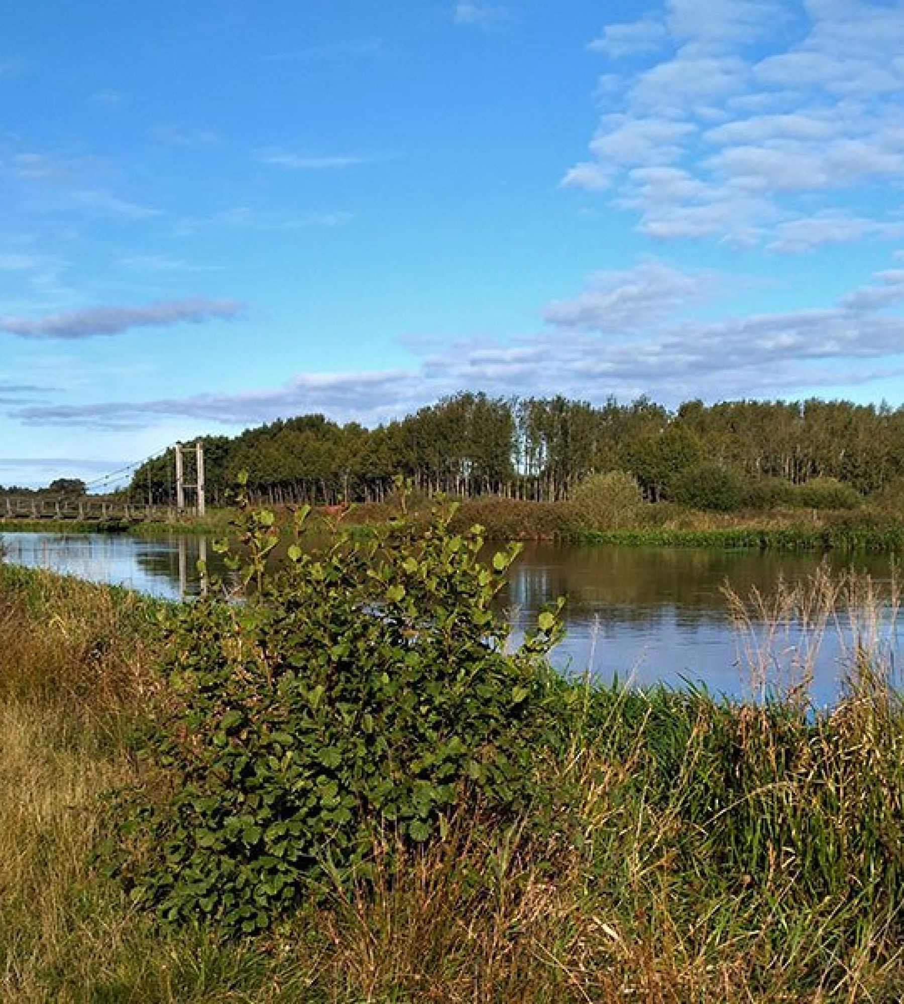 Birkelund camping & outdoor — Bobilplass in Tarm