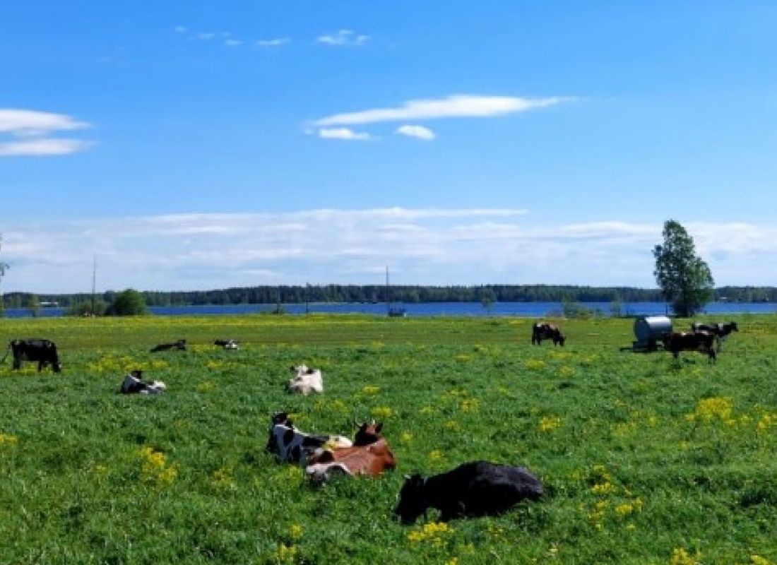 Kuusaa-Jokelan kylätalo Eurola — Campervan Site in Haapajärvi