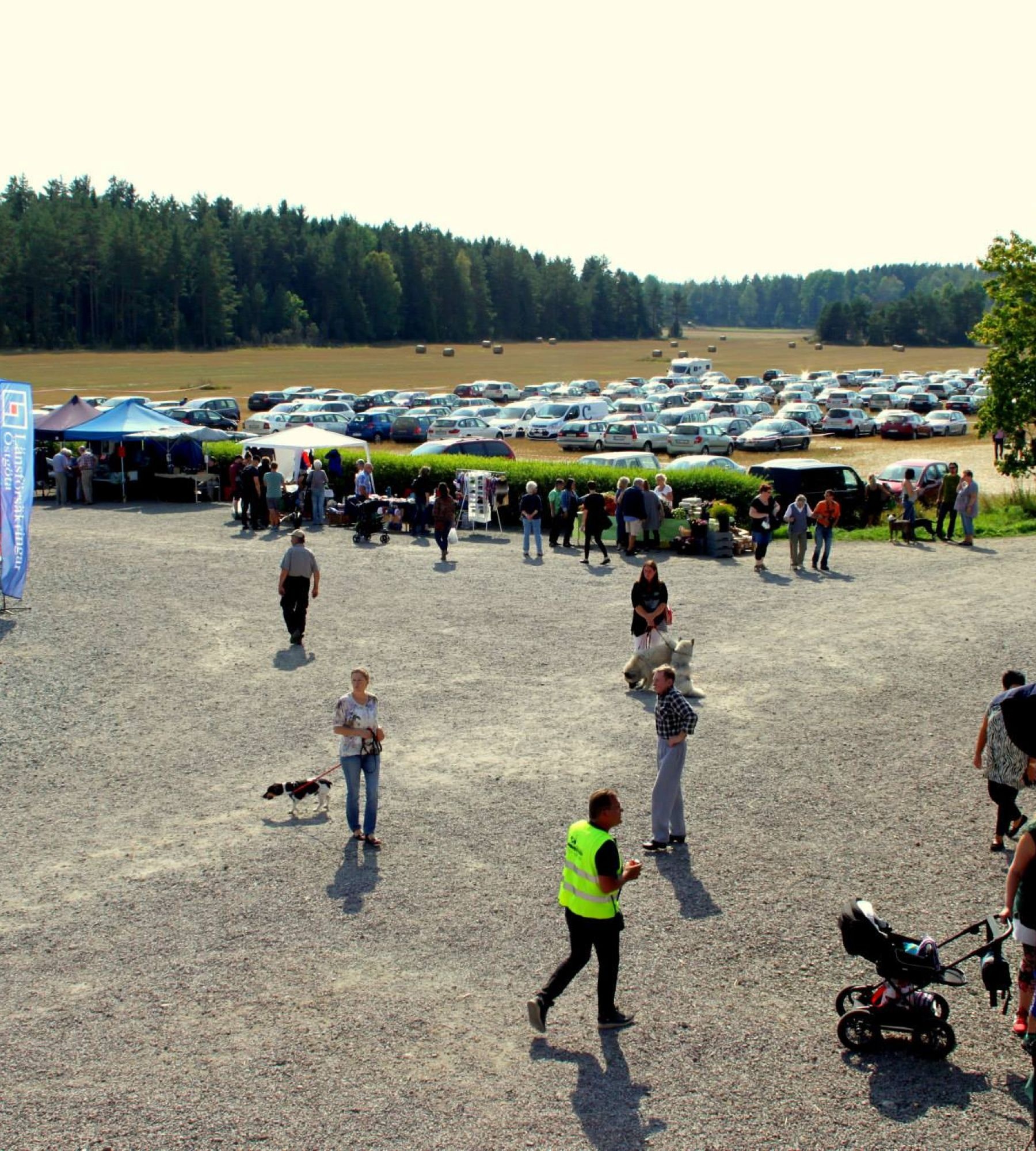 Vikbolands Struts — Campervan Site in Vikbolandet