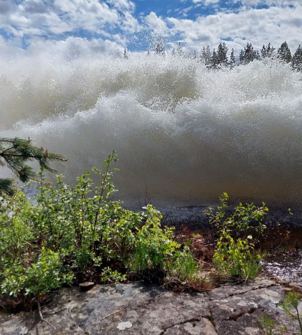 Nederhögen Vildmarkscenter