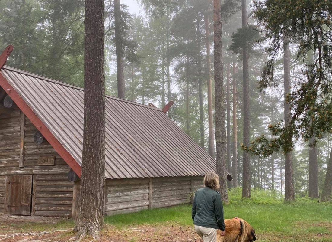 Åsbergbo Ställplats (vid Orbaden Zip & Climb) — Area di sosta in Vallsta
