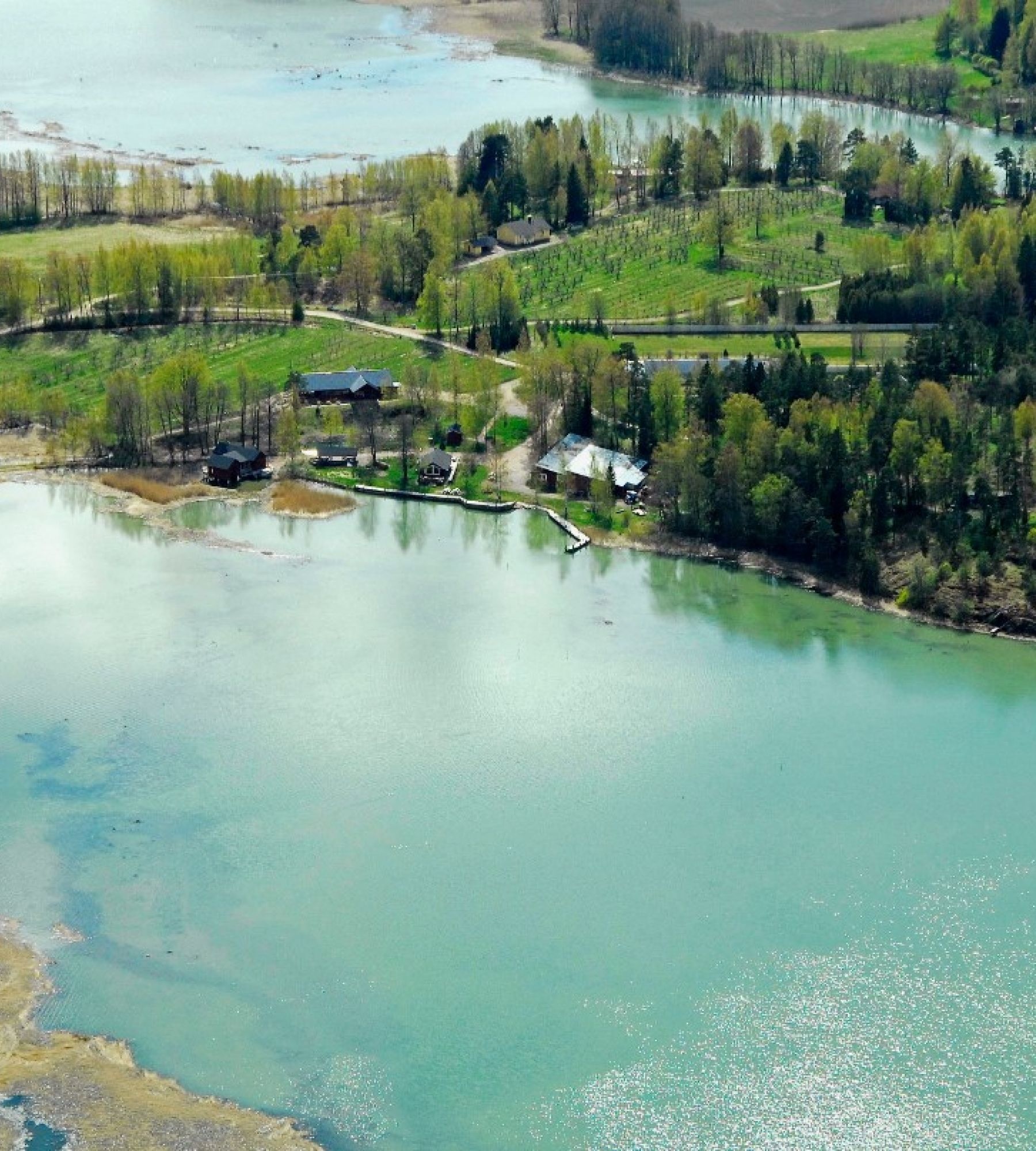 Tammiluodon Viinitilalla — Campervan Site in Lielahti