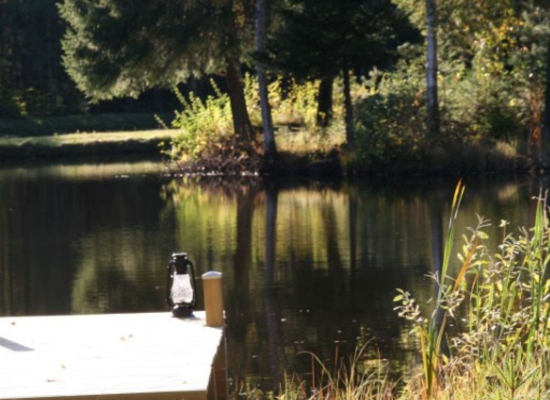 Månstorps Stugor och Sportfiske — Campervan Site in Hallaröd