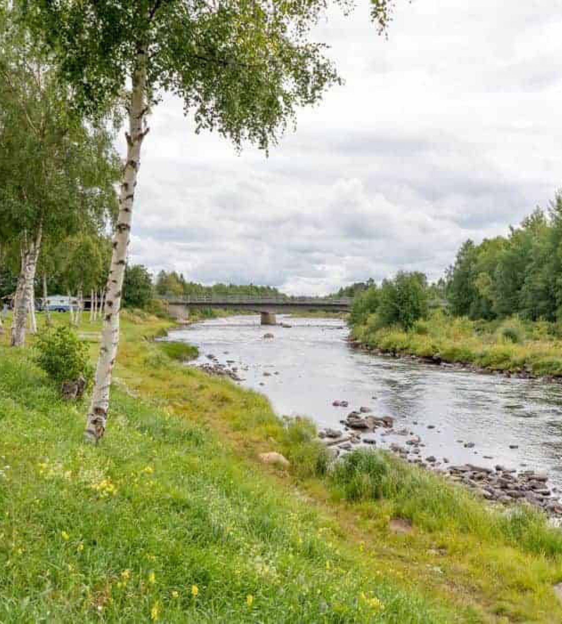 Lillhärdals Camping — Ställplats in Lillhärdal