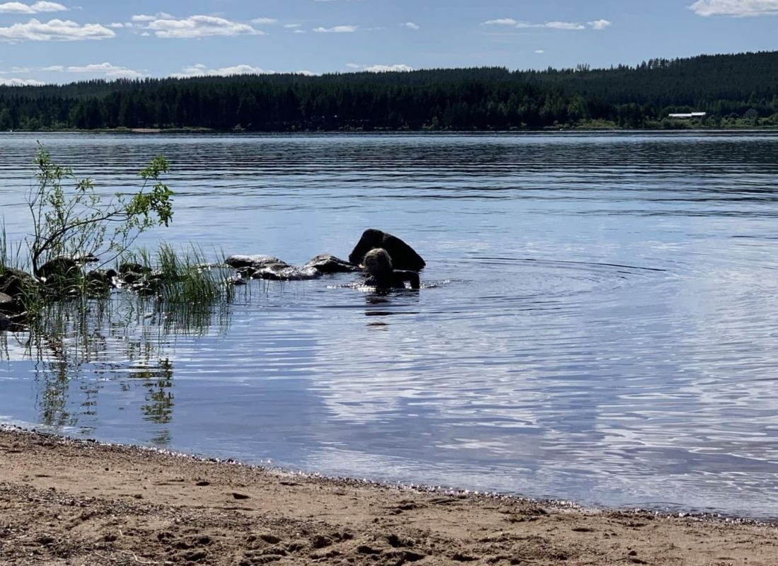 Camp Lakeside Boheden — Sítio para autocaravanas in Överkalix