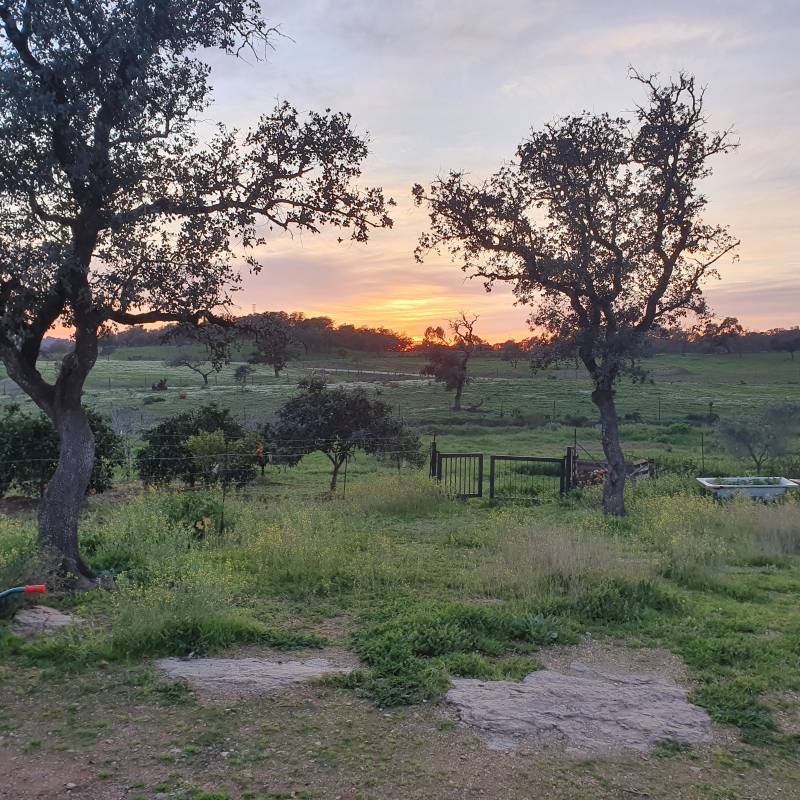 finca Susana y Lutz — Sítio para autocaravanas in Huelva