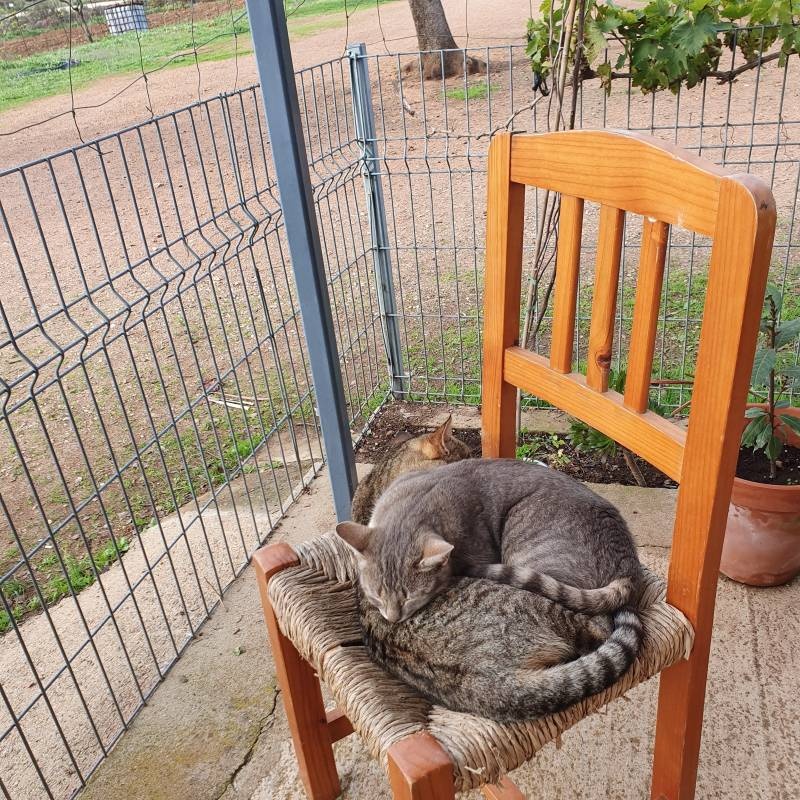 finca Susana y Lutz — Campervan Site in Huelva