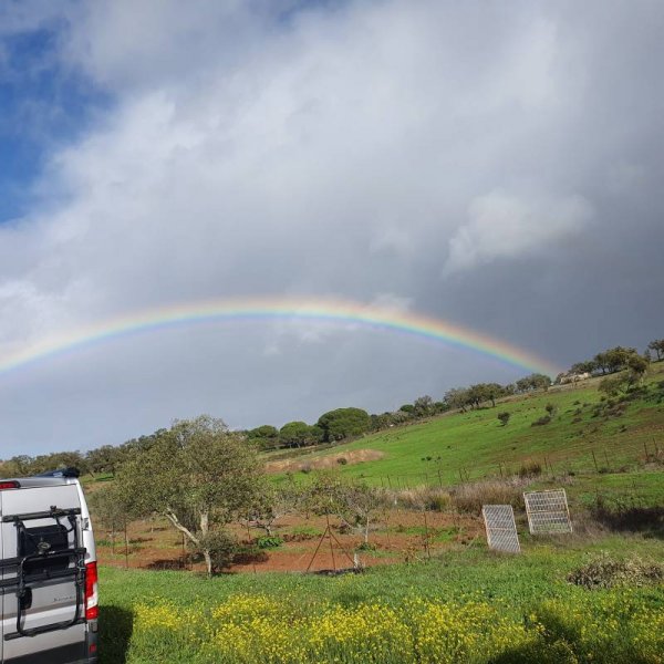 finca Susana y Lutz — Photo 3