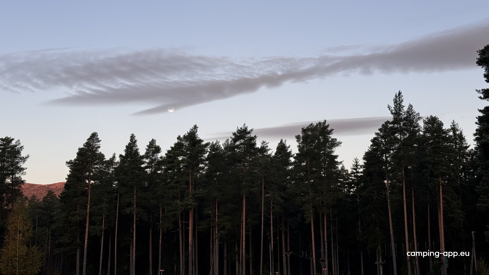 Bø Camping — Photo 4