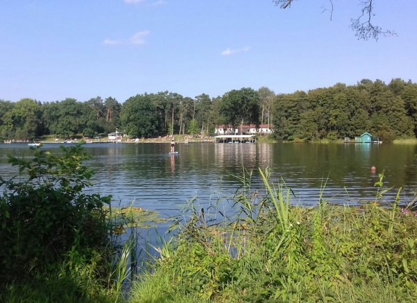 Naturcamping am Waldsee