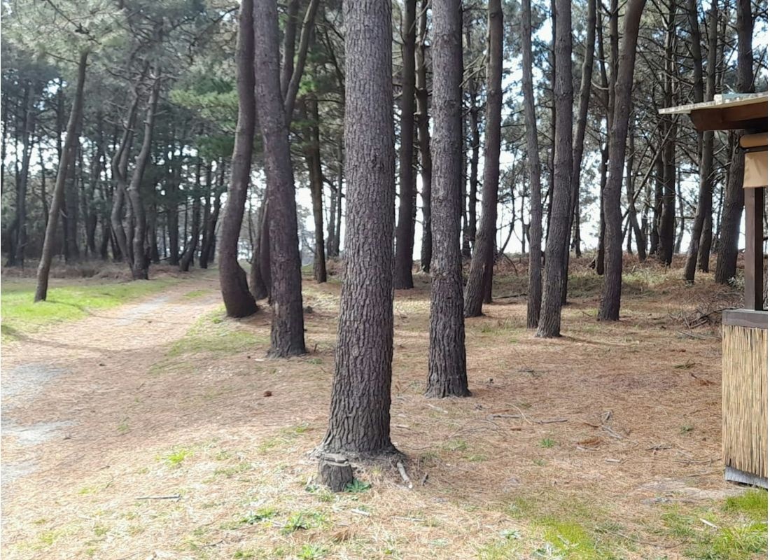 ENTRECABOS BURGUER & CAMPER PARK — Camperplads in Ortigueira