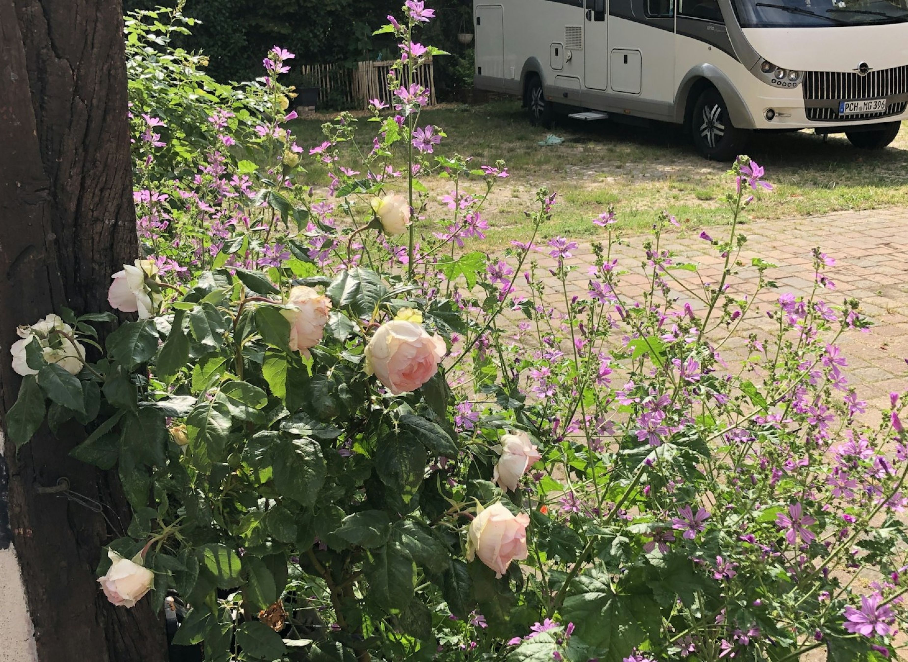 Wohnmobil Stellplatz         „TRAMMER SCHEUNE“ — Karavan Sitesi in Tramm