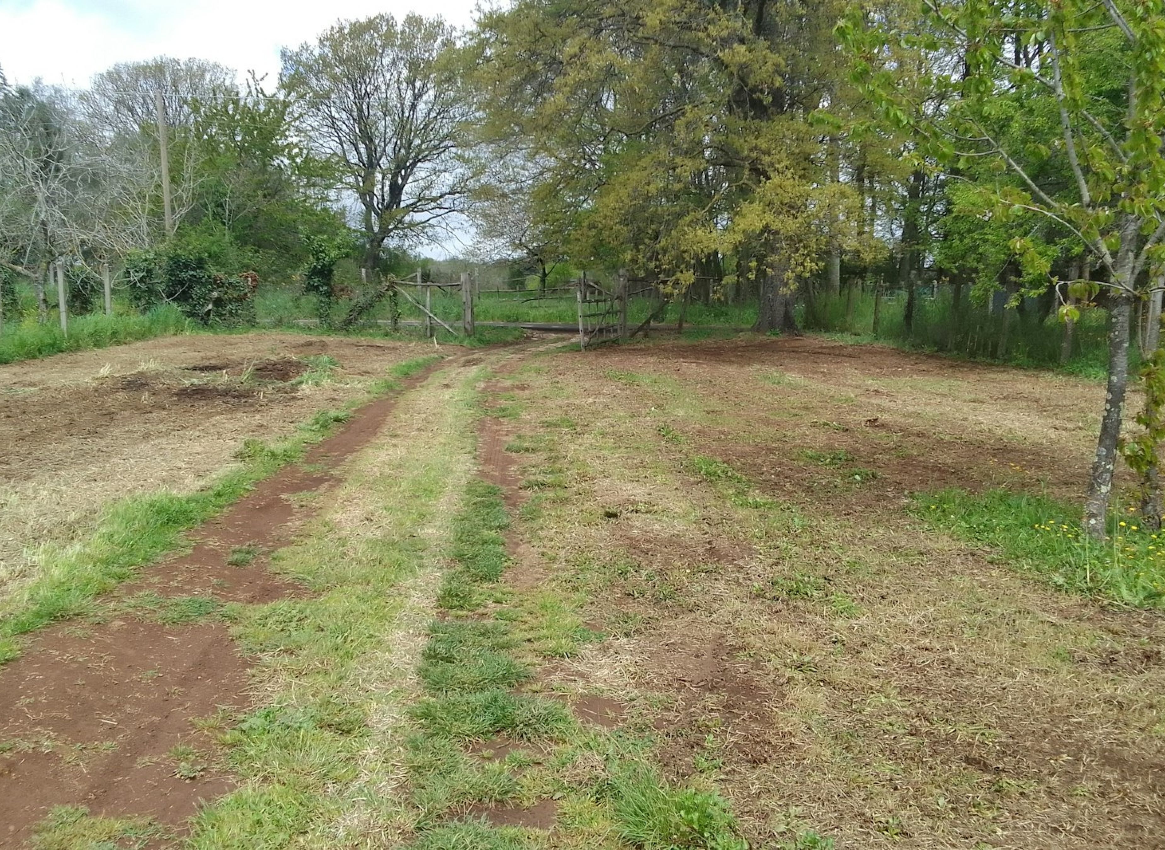 Spazio libero — Aire camping car in Manziana