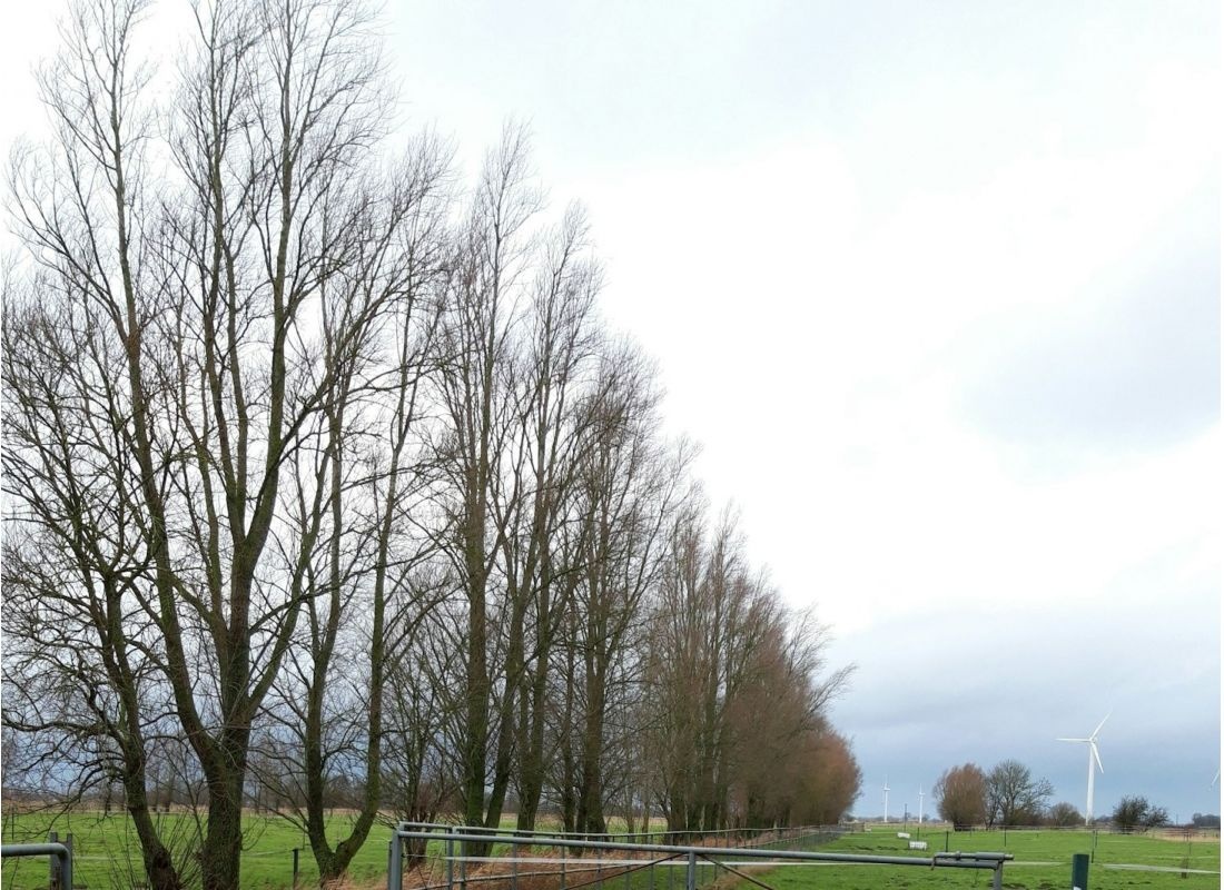 Bonnhausen — Campervan Site in Wilhelmshaven