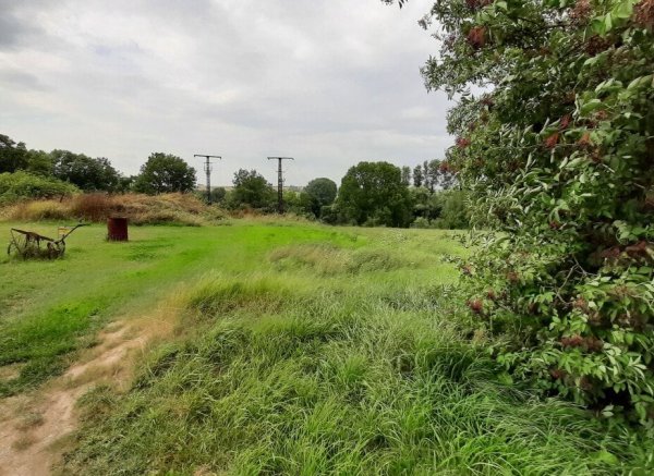 Unstrut-Lama-Wiese — Photo 2