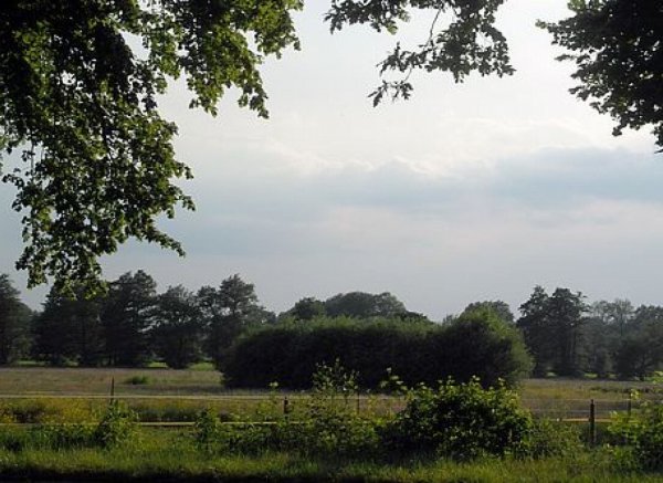 Stellplatz an der Pferdeweide