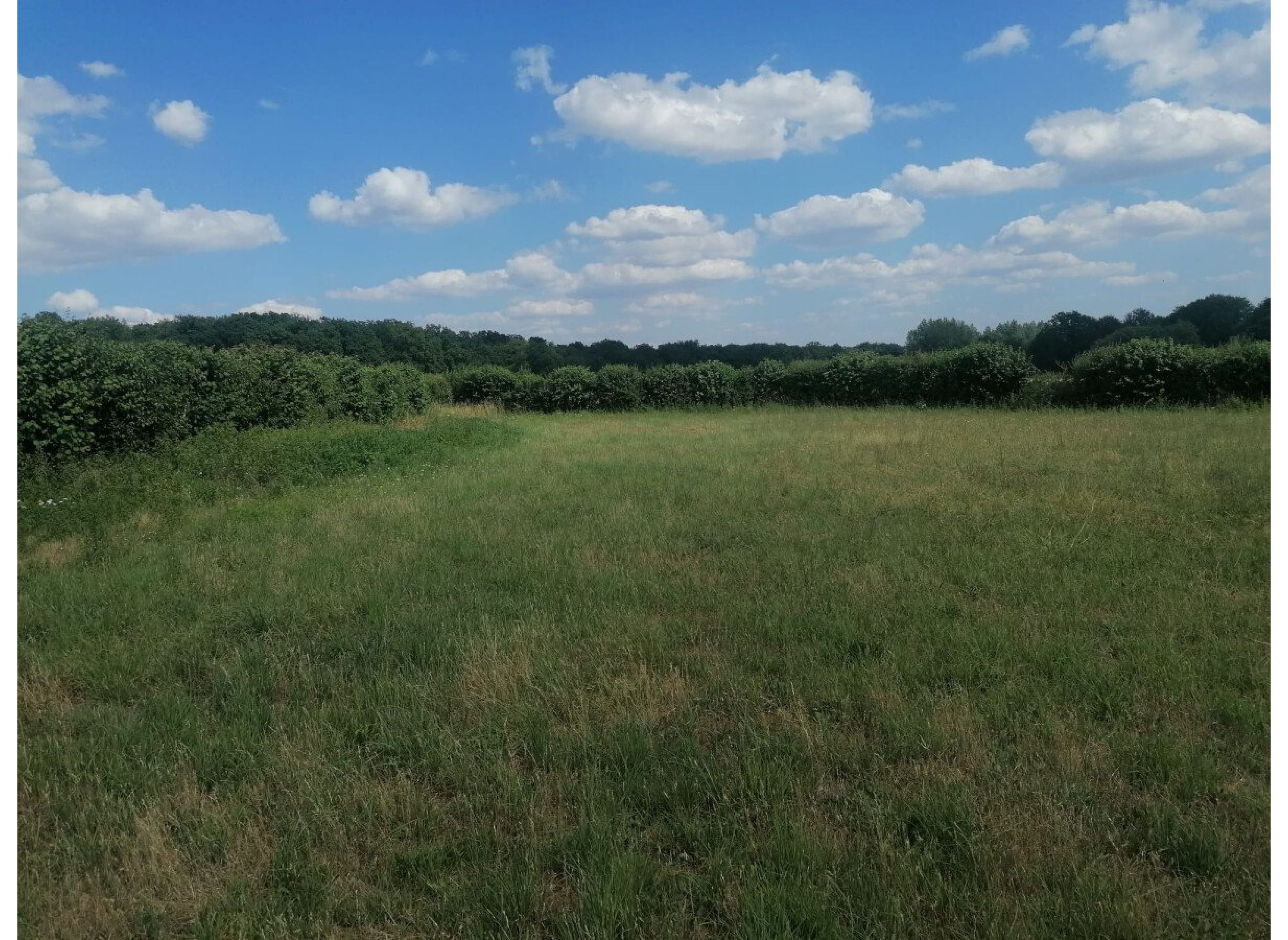 Campingplatz mitten in der Natur auf einem Feld; place de camping en pleine nature dans un champs — Karavan Sitesi in Saint Léger en Bray
