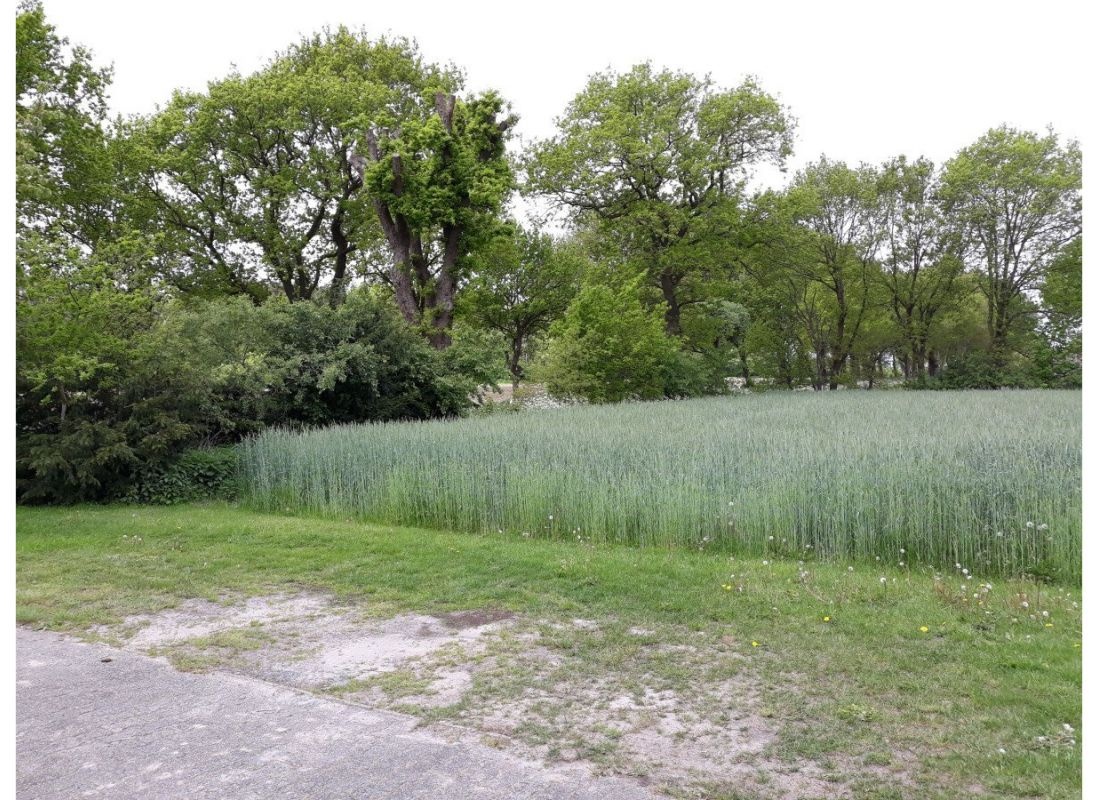 Entspannung in Waldesnähe — 露营车营地 in Breddenberg