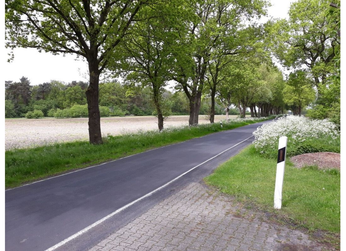 Entspannung in Waldesnähe — Camperplads in Breddenberg