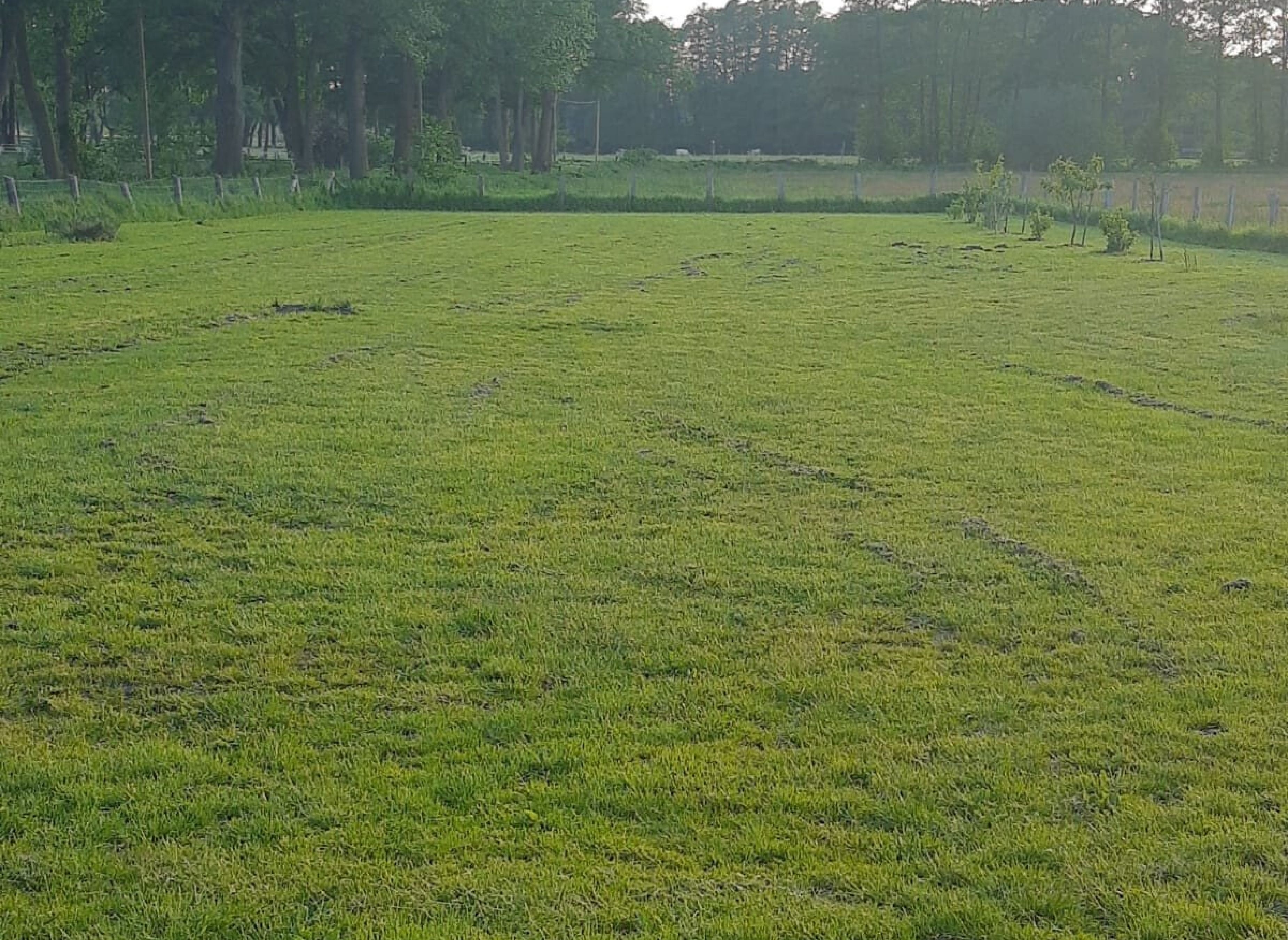 Ruhe wird hier groß geschrieben — Aire camping car in Neustadt am Rübenberge