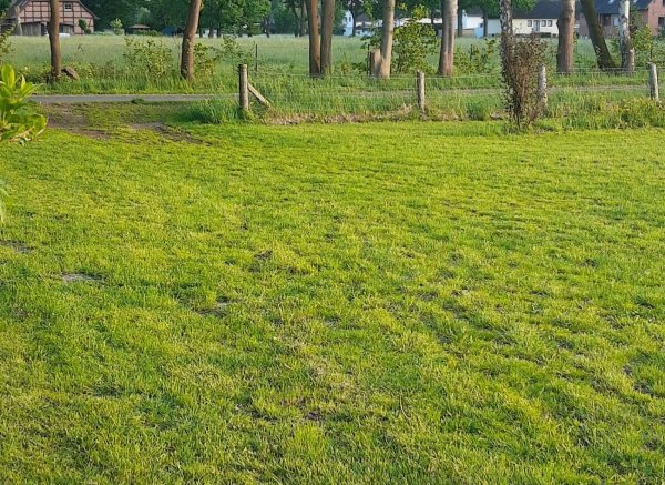 Ruhe wird hier groß geschrieben — Photo 2