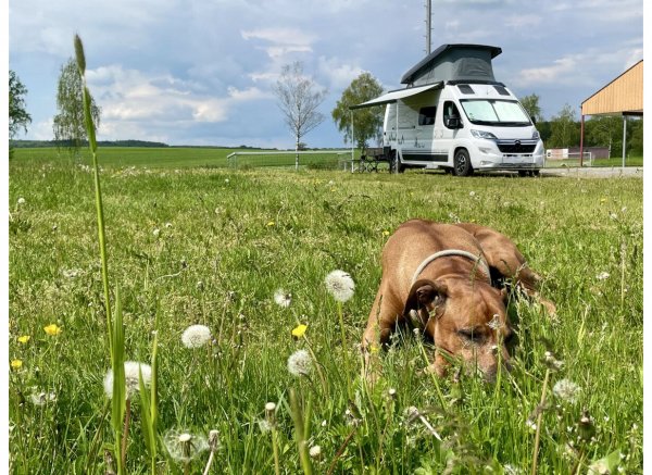 Am Geißler — Photo 2