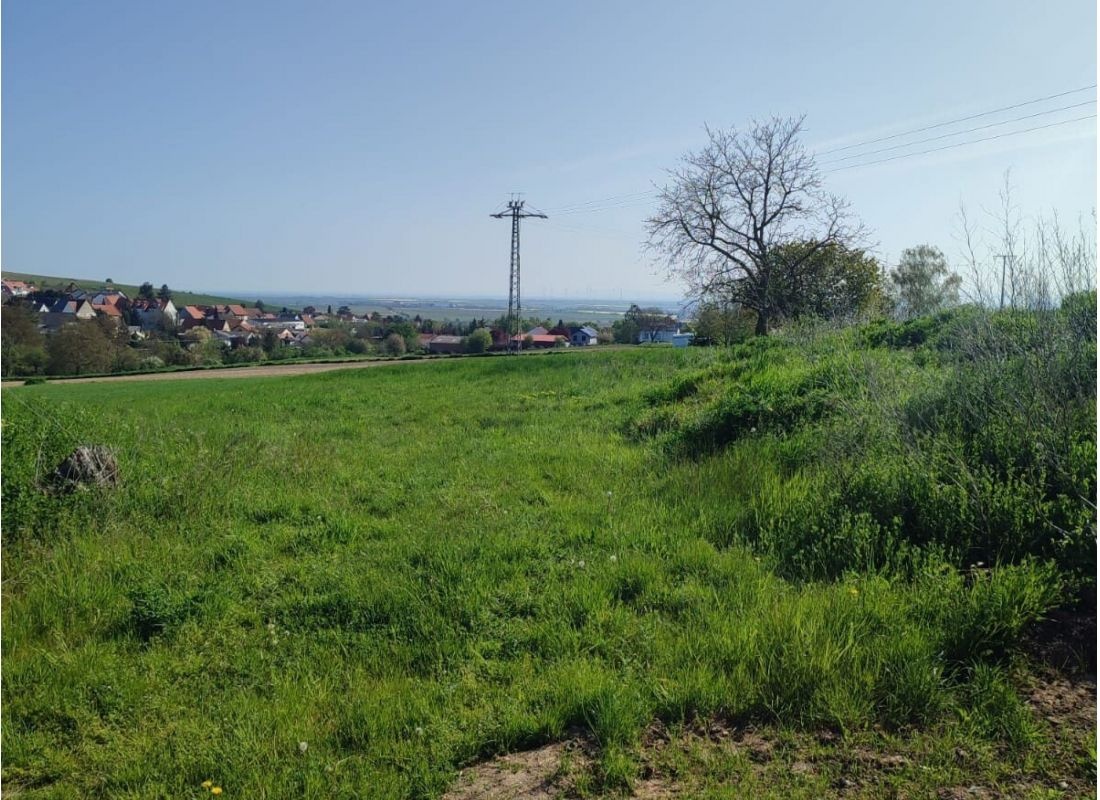 Am Rande von Kindenheim mit Blick auf den Ort Kindenheim und die Rheinebene — Camperplaats in Kindenheim