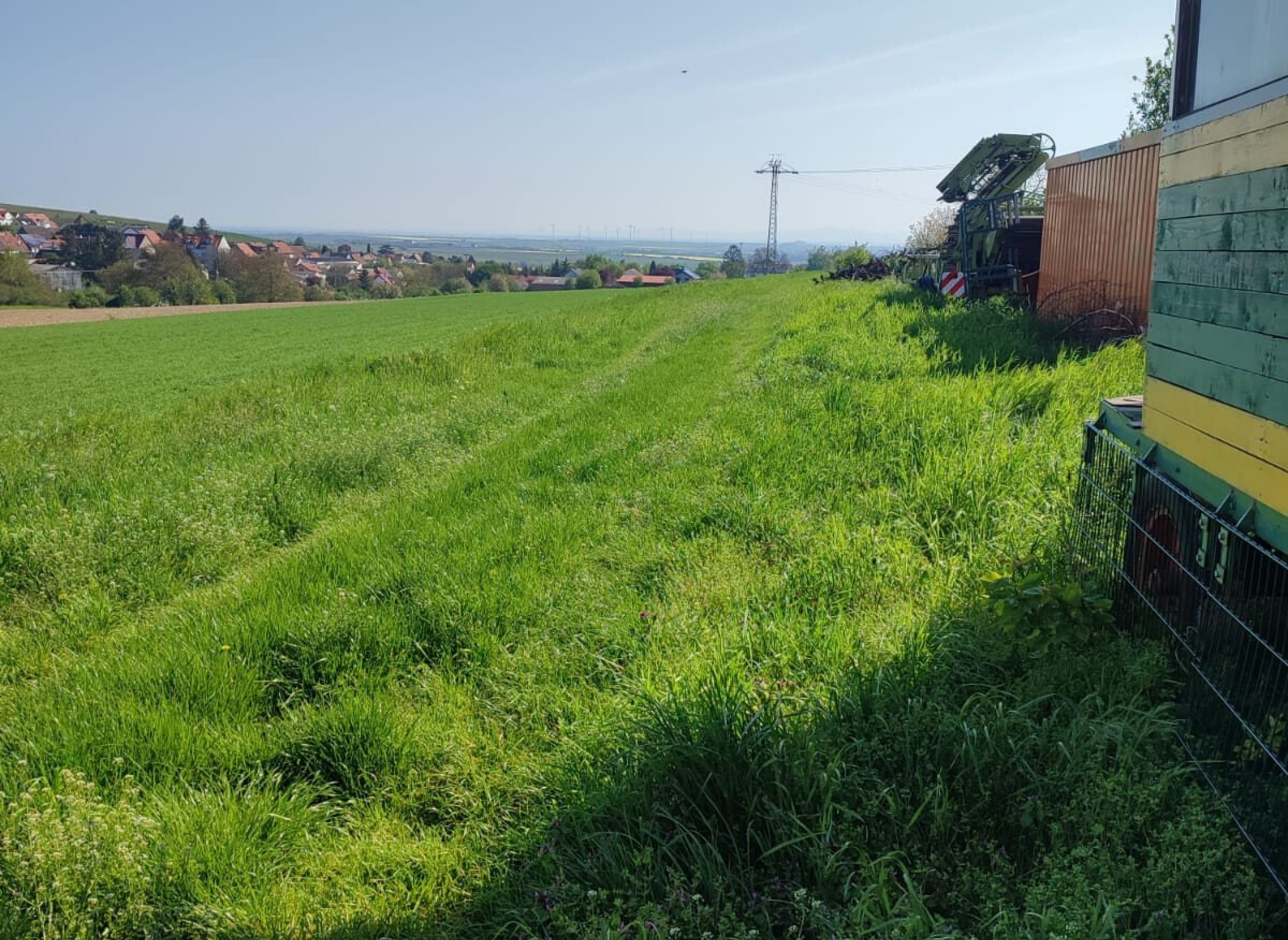 Am Rande von Kindenheim mit Blick auf den Ort Kindenheim und die Rheinebene — Camperplads in Kindenheim