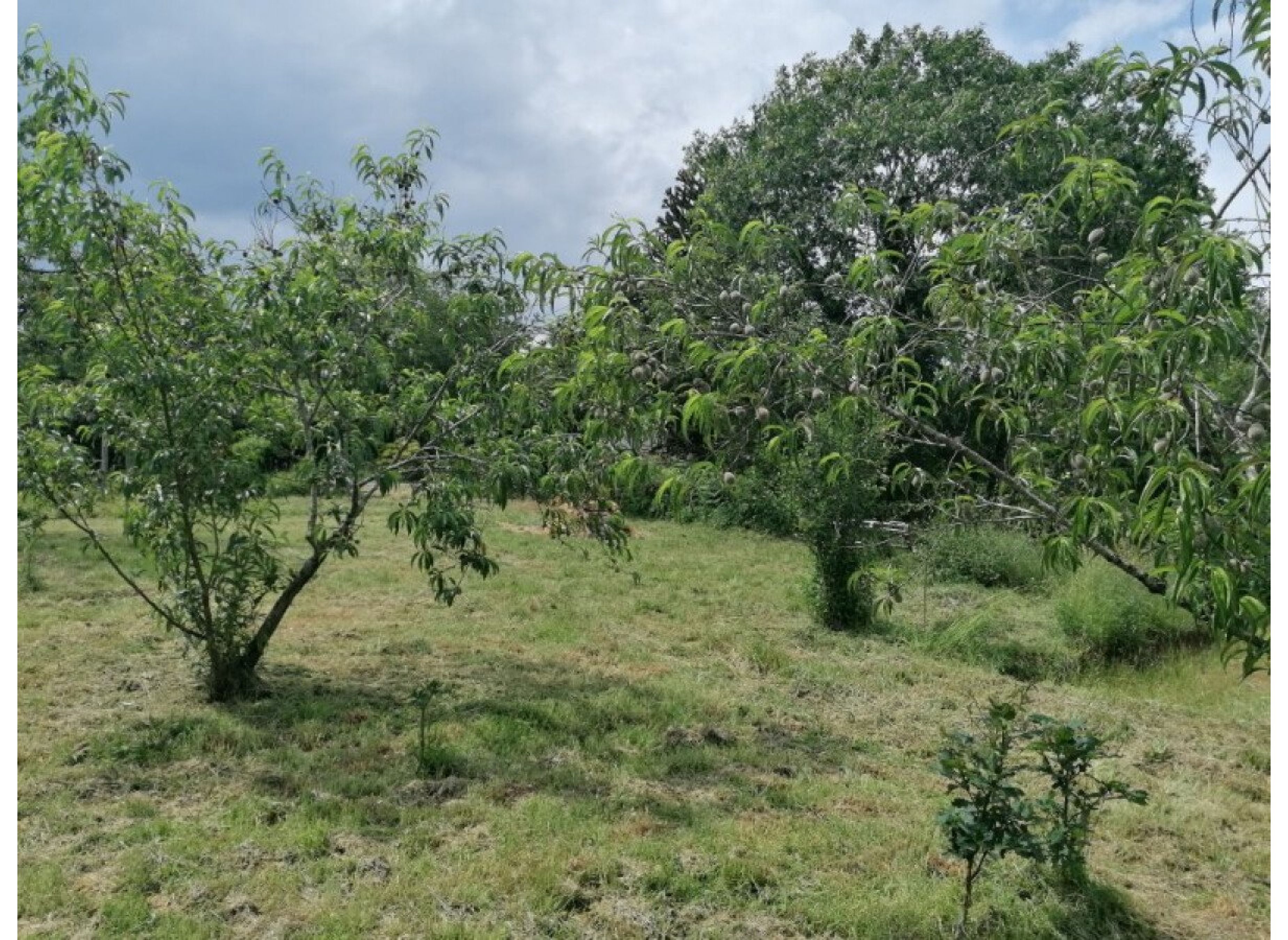 ZELTEN ZWISCHEN LAND UND MEER IN MORBIHAN TENTES ENTRE TERRE ET MER DANS LE MORBIHAN#1 — Area di sosta in Monterblanc