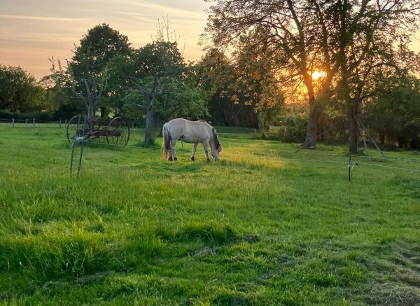 Éco camping en pure nature — Photo 2