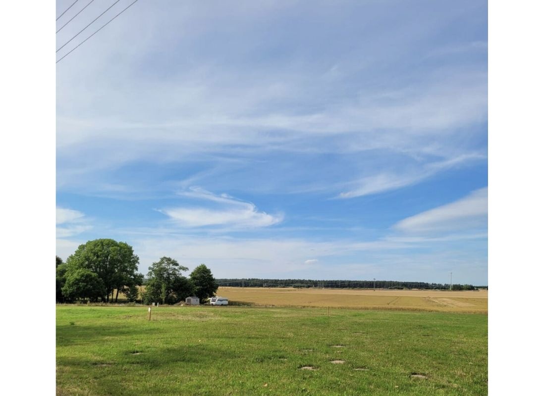 Idyllische Wiese an der Kaffeerösterei — Karavan Sitesi in Gremersdorf-Buchholz