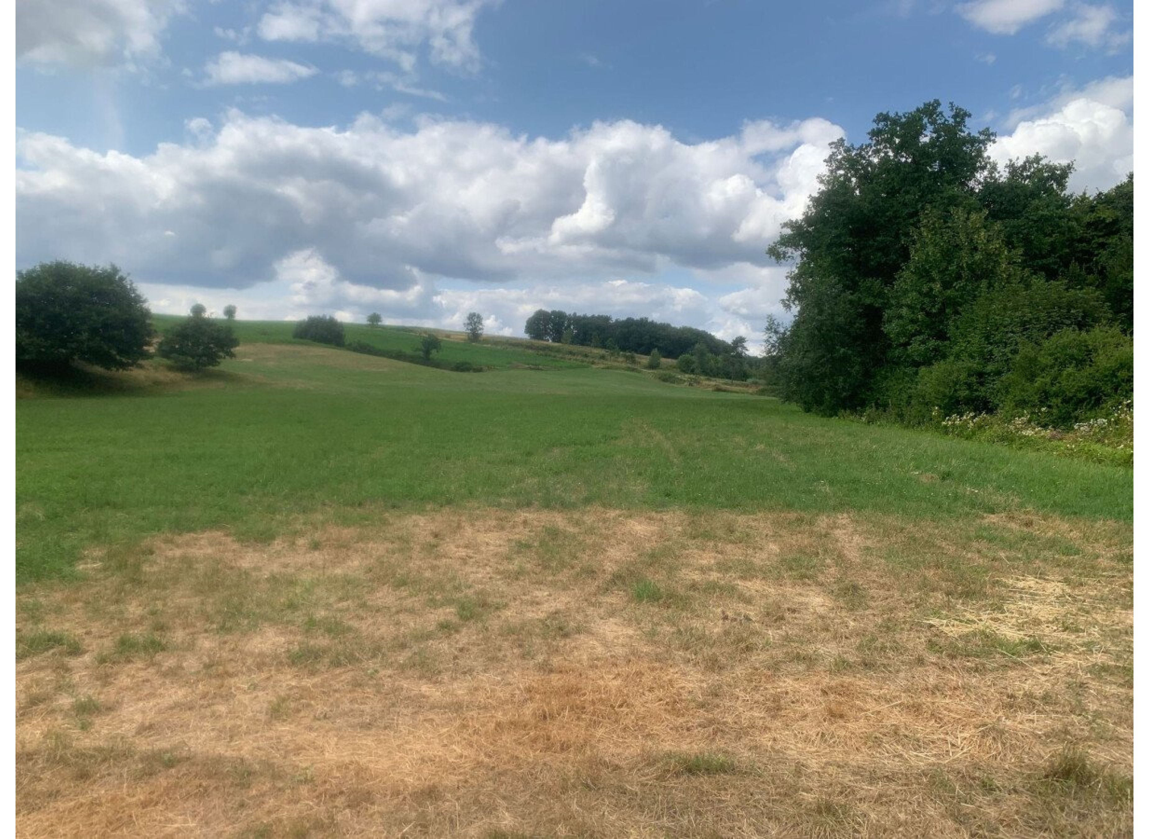 An der großen Wiese — Sp. parking dla kamperów in Reichmannsdorf