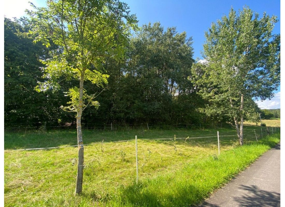 Wiese an der alten Schule — Aire camping car in Windeck