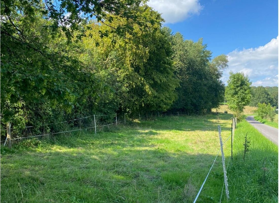 Wiese an der alten Schule — Stellplatz in Windeck