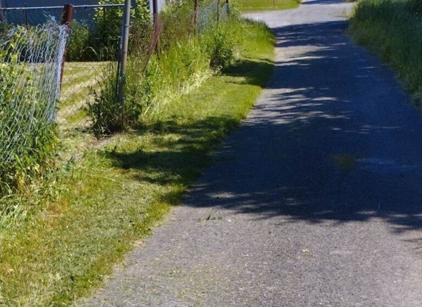 Platz in ruhiger Lage — Photo 2