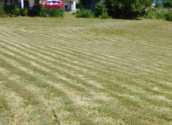 Platz in ruhiger Lage