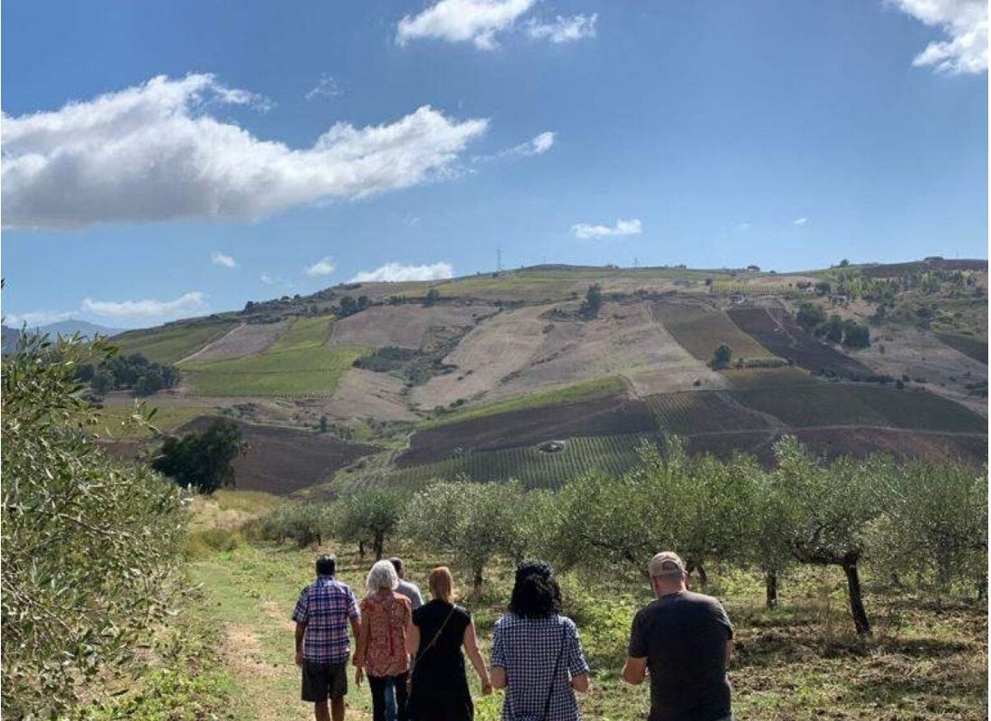Vor unserer Bio-Olivenölfabrik  Parking in front of our organic olive oil factory — Weingut in Buseto Palizzolo