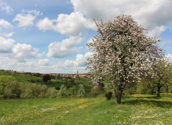 Naturerlebnis und Erholung in Mitten des Fränkischen Seenlandes 1 — Photo 2