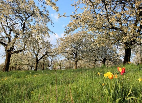 Naturerlebnis und Erholung in Mitten des Fränkischen Seenlandes 1