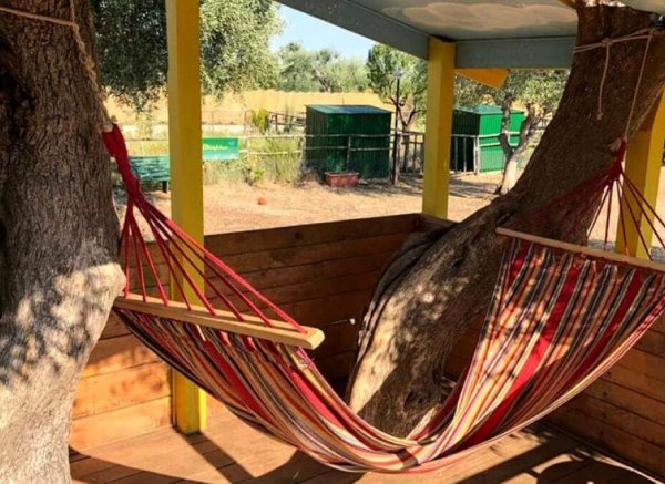 Wunderschӧner Ort in der Natur in der Stadt Modugno — Photo 2