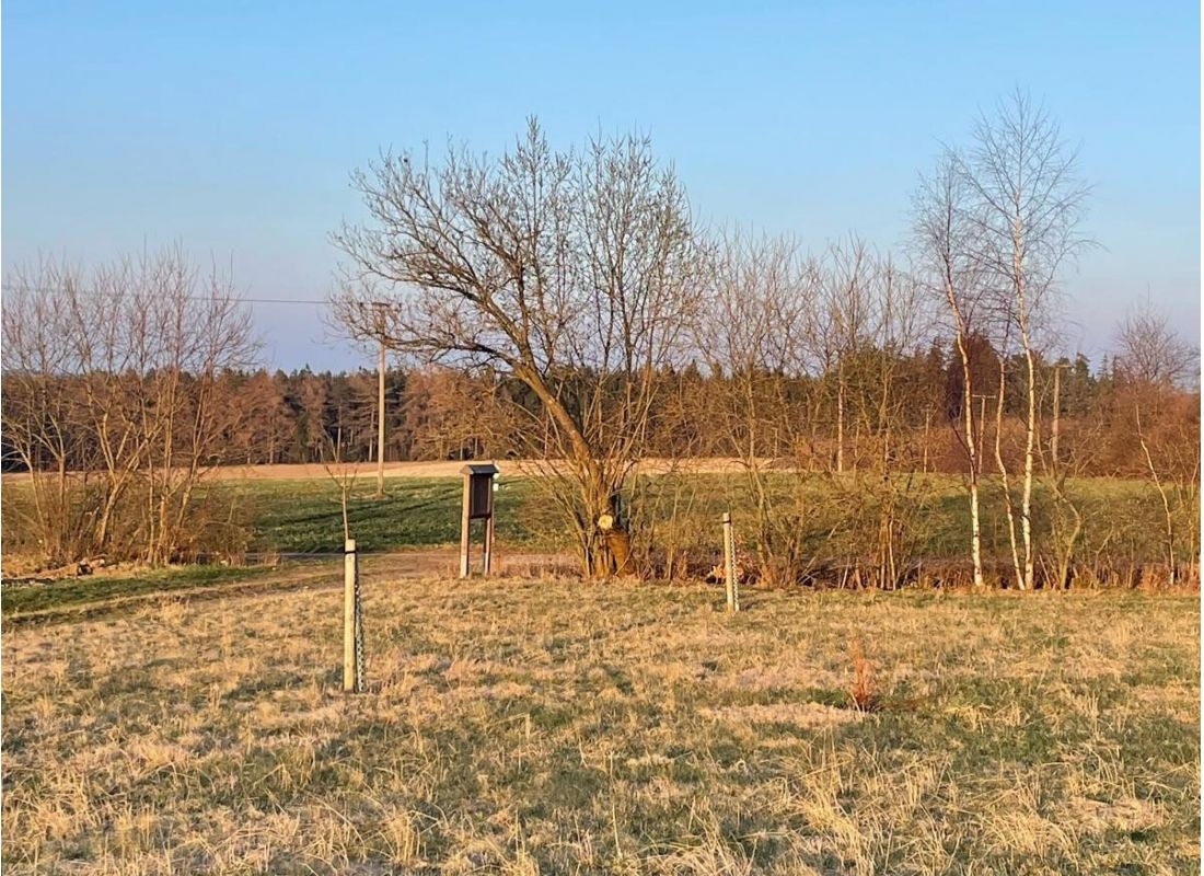 Blick auf den Kornberg — Sp. parking dla kamperów in Schwarzenbach an der Saale