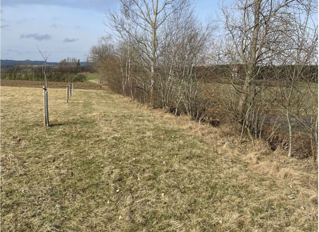Blick auf den Kornberg — Campervan Site in Schwarzenbach an der Saale