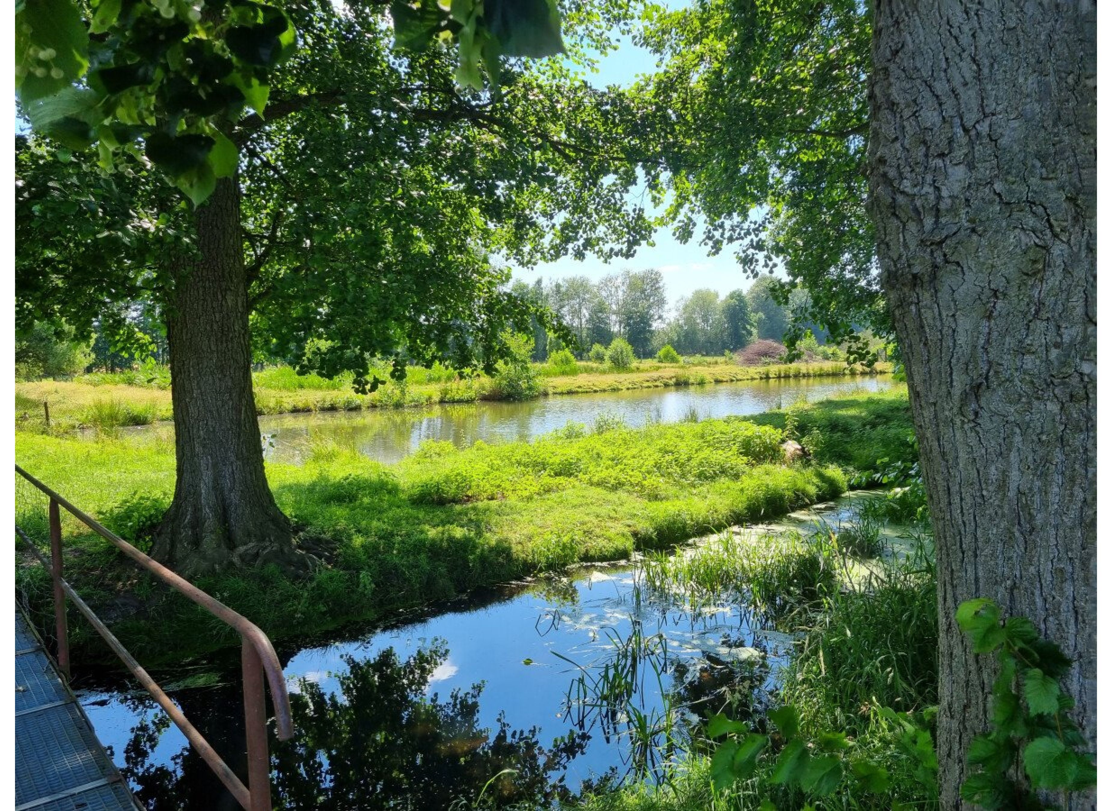 ruhiger stellplatz in ortsrandlage mit idyllischen naturblick und nachthimmel, naturblick & sternenhimmel — Karavan Sitesi in Salzwedel OT Langenapel