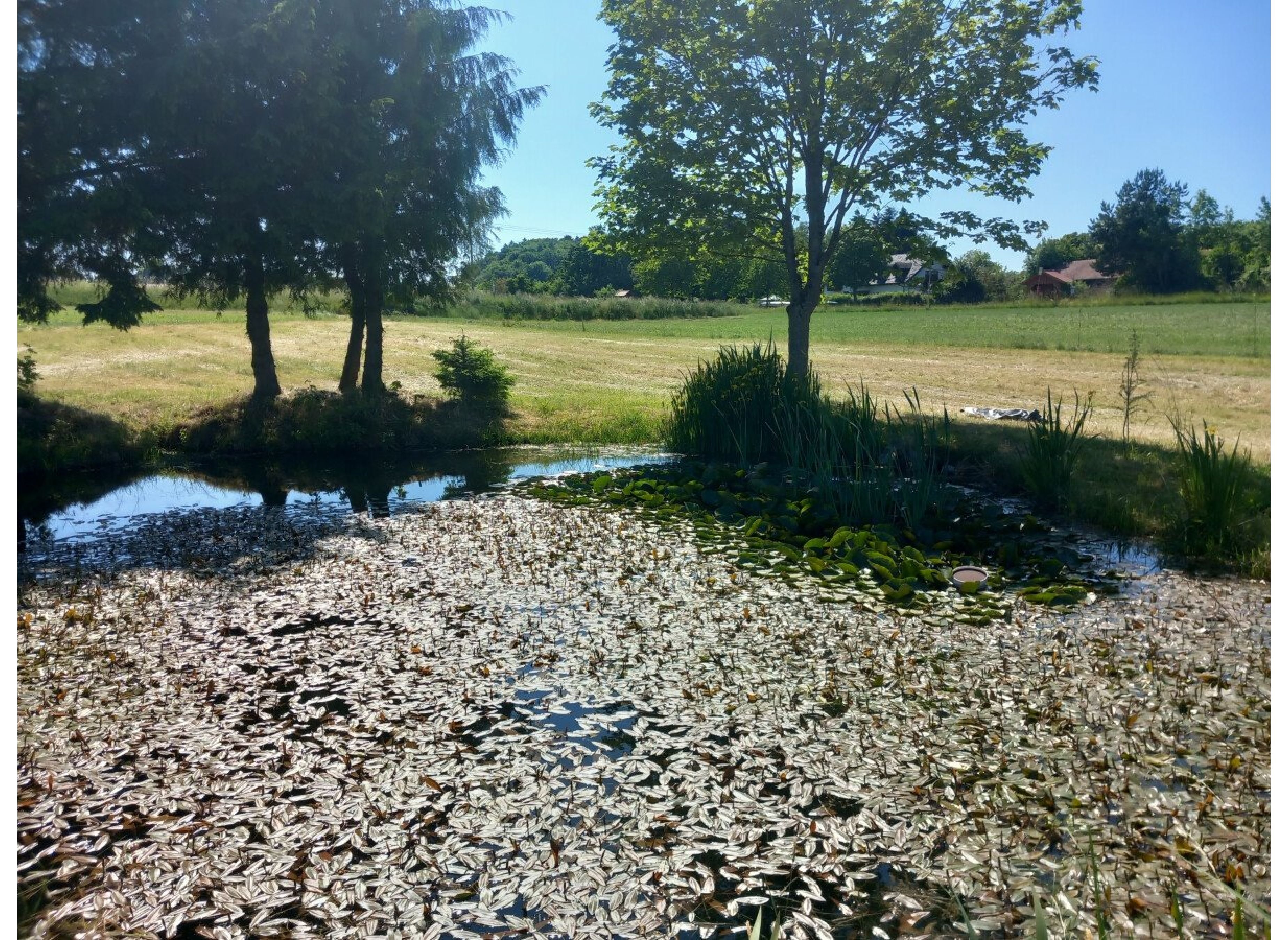 Stellplatz für eine kleine Auszeit am Land — Area di sosta in Rettenbach