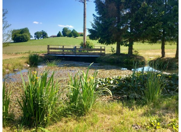 Stellplatz für eine kleine Auszeit am Land — Photo 2