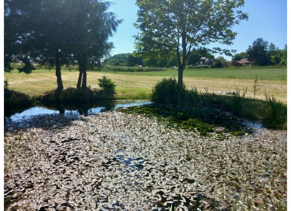 Stellplatz für eine kleine Auszeit am Land
