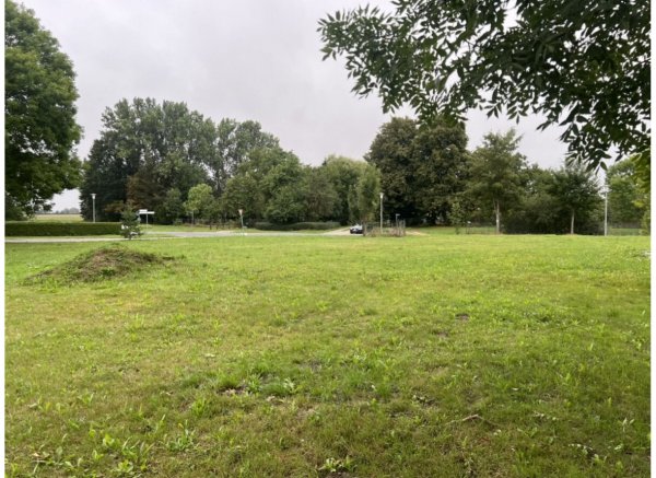 Stellplatz 30 Minuten von Stralsund 🌊 — Photo 2