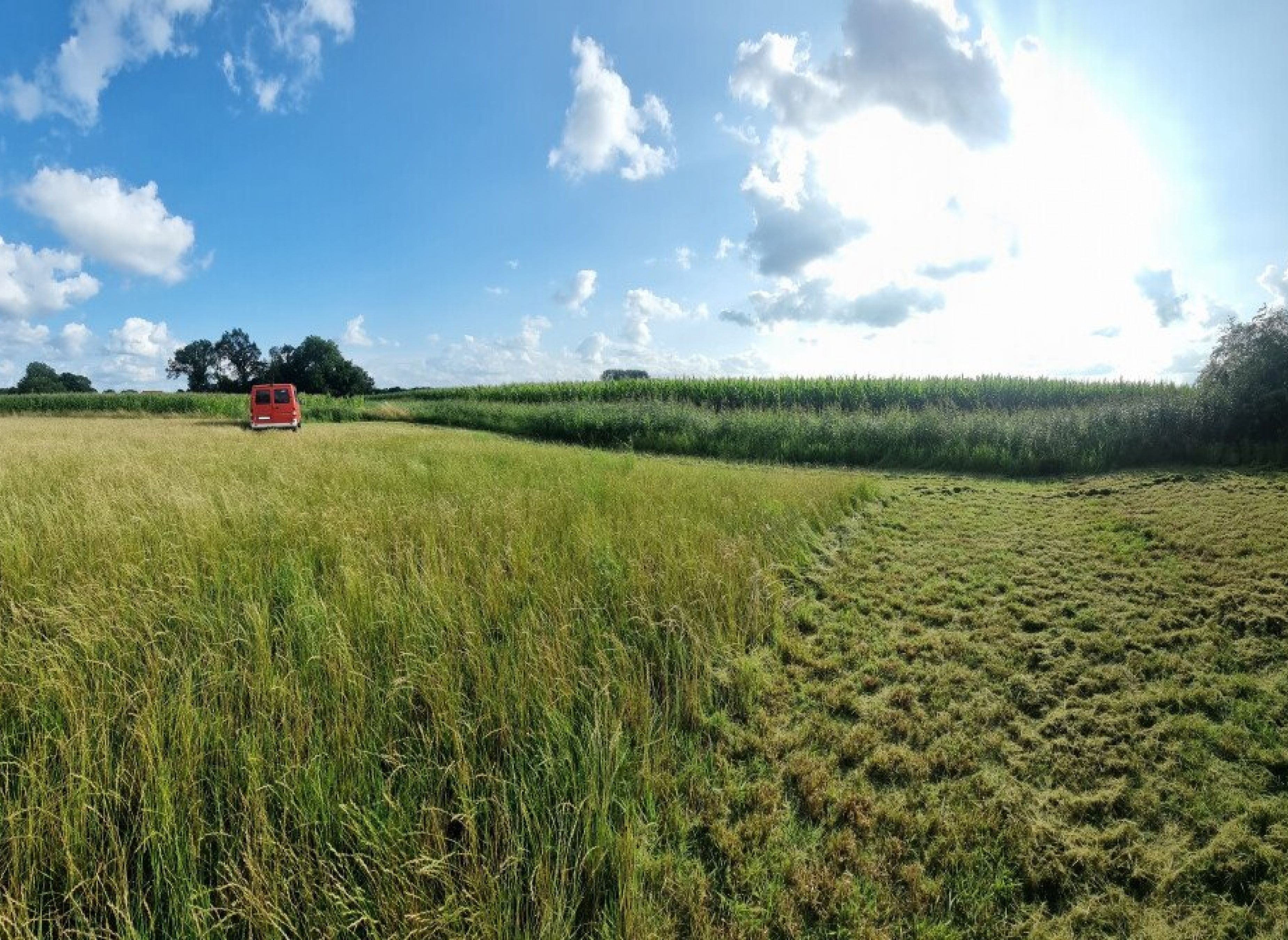 Stellplatz auf der Heuwiese — Aire camping car in Rheine