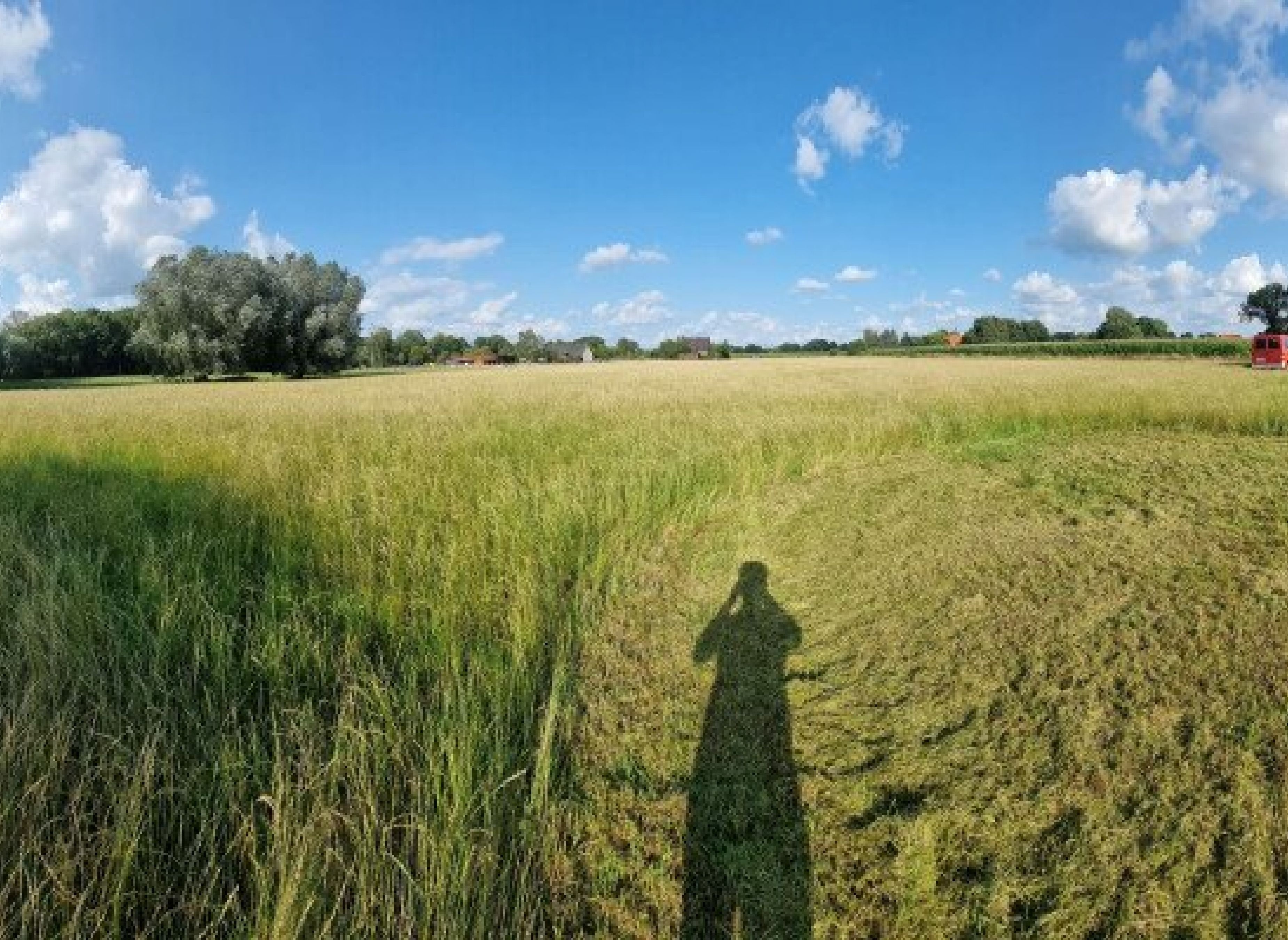 Stellplatz auf der Heuwiese — Camperplads in Rheine