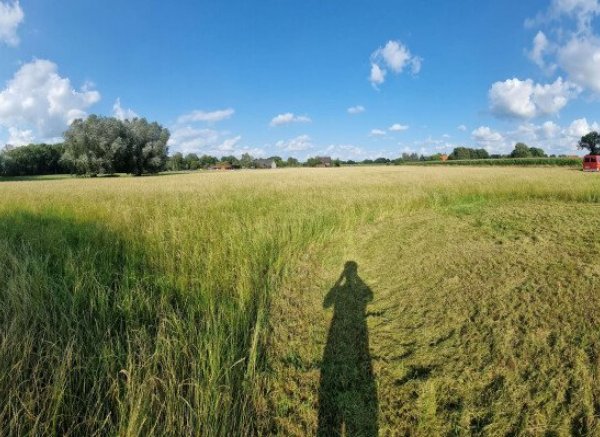 Stellplatz auf der Heuwiese